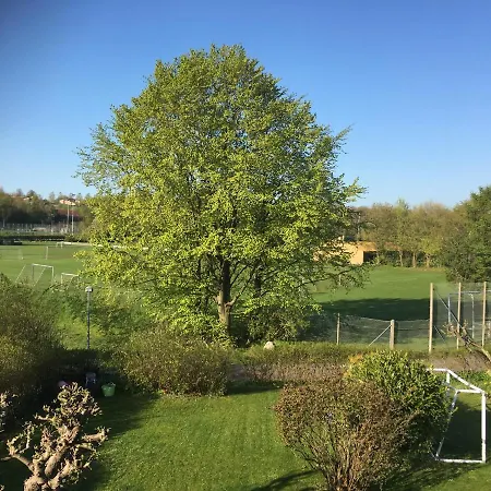 Summer Near Aarhus Hojbjerg