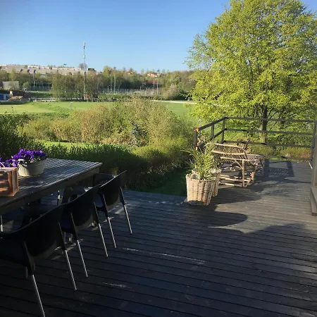 Summer Near Aarhus Hojbjerg